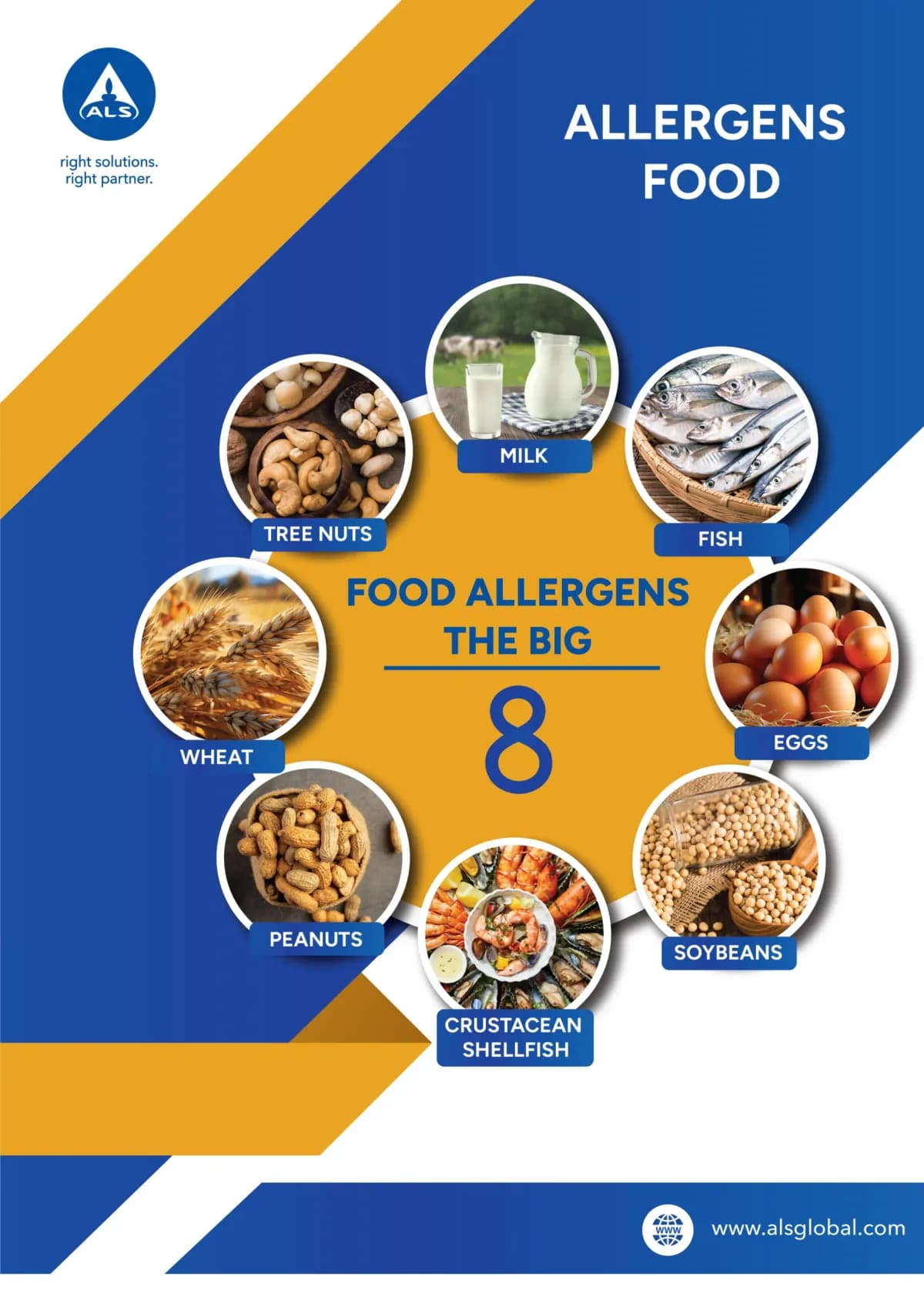 ALS India infographic: the big 8 food allergens in a hexagon grid